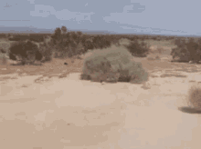 Afbeeldingslocatie: https://tweakers.net/i/hFGewkskJpM_2jBRmY0184UIZNc=/fit-in/4000x4000/filters:no_upscale():gifsicle():strip_exif()/f/image/3uibfrlCpVd98T08eIq5Faj0.gif?f=user_large