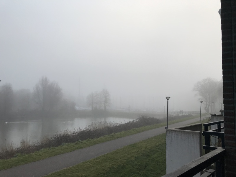 Afbeeldingslocatie: https://tweakers.net/i/hJFQTTkTVBqg2MCDb4pAhvWeIV4=/800x/filters:strip_icc():strip_exif()/f/image/H2yuSgBpQgm4fJv5iSrZ2JUM.jpg?f=fotoalbum_large