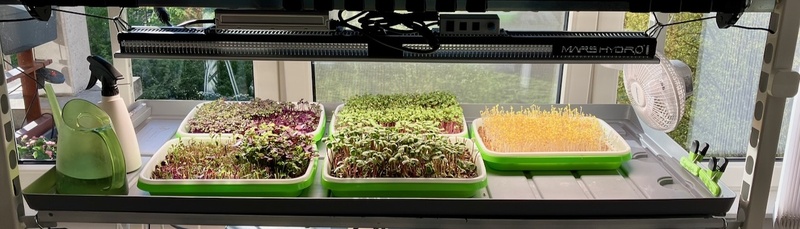 Afbeeldingslocatie: https://tweakers.net/i/hM46pn8rtZMmDqI-HI3kQOxKA6w=/800x/filters:strip_icc():strip_exif()/f/image/Pz4FnerRclQ39Uu2HKPKAuLZ.jpg?f=fotoalbum_large