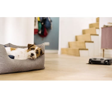 Miele Scout RX3 Runner