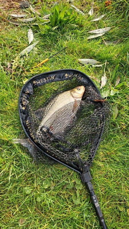 Afbeeldingslocatie: https://tweakers.net/i/hMGYOcbDaiHDeYAbHHBipqWPIvk=/x800/filters:strip_icc():strip_exif()/f/image/ePEYfPUqXdljbCbREXZEZWBb.jpg?f=fotoalbum_large