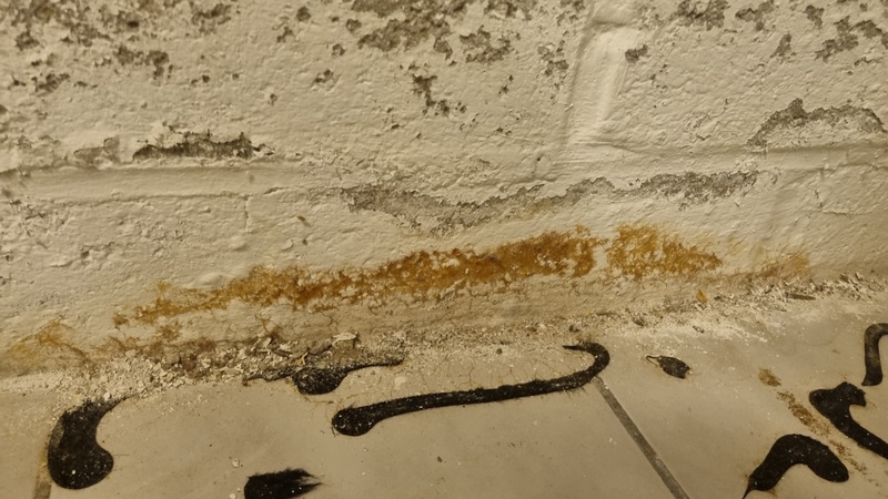 Afbeeldingslocatie: https://tweakers.net/i/hOSEowSnlcrYBADVYHwOMxCSVmw=/800x/filters:strip_icc():strip_exif()/f/image/uNWUdzOgM92AjqK5mZh0q8A2.jpg?f=fotoalbum_large