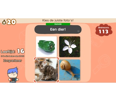Big Brain Academy: Knappe Koppen, Switch