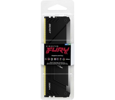 Kingston Beast RGB