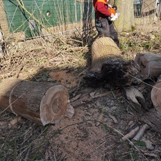 Afbeeldingslocatie: https://tweakers.net/i/hQPCkxgsGx-HLFIOsg7jk9jHsbk=/232x232/filters:strip_icc():strip_exif()/f/image/Hsu4Uyw63VfrXhXmbdKmePHq.jpg?f=fotoalbum_tile