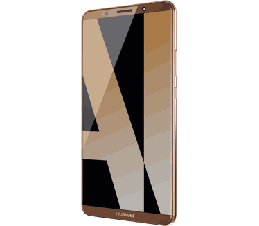 Huawei Mate 10 Pro Bruin