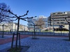 Afbeeldingslocatie: https://tweakers.net/i/hT3hZE_aInwOKO_INCjuOQ1vneE=/100x75/filters:strip_icc():strip_exif()/f/image/QKXMM1Pia10IUtGGzGAWNQxk.jpg?f=fotoalbum_small