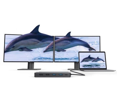 Alogic MV2