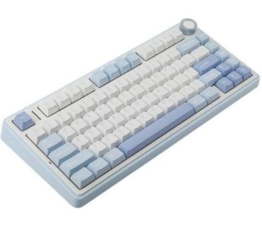 Epomaker F75 Sea Salt Blue LEOBOG Greywood V3 Switch RGB Draadloos Hotswap Mechanisch Gaming Toetsenbord