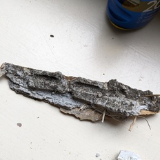 Afbeeldingslocatie: https://tweakers.net/i/hXQpj313Op7fro1QplOCPGspWZc=/232x232/filters:strip_icc():strip_exif()/f/image/G2fGXw3uro20WSO7vW1KdiDW.jpg?f=fotoalbum_tile