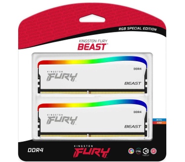 Kingston Beast RGB Special Edition
