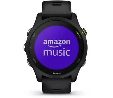 Garmin Forerunner 255 Music Grijs (Grijs)