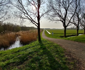 Foto gemaakt met LG G6 - groothoek vs regulier