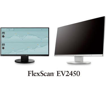 Eizo Flexscan EV2450 Grijs