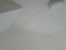 Afbeeldingslocatie: https://tweakers.net/i/heGgnPMqU1vv1ZcMjdnrB0XkS-0=/234x176/filters:strip_icc():strip_exif()/f/image/8AO9qH1Ds08pjBqsAqeBZrkG.jpg?f=fotoalbum_medium