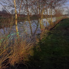 Afbeeldingslocatie: https://tweakers.net/i/hgkxjS6afk9PCkJm3HgXb7uMqEw=/232x232/filters:strip_icc():strip_exif()/f/image/oia4mK0FV0IJ9peUYprk9evV.jpg?f=fotoalbum_tile