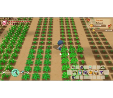 Story of Seasons: Friends of Mineral Town, Switch