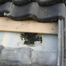 Afbeeldingslocatie: https://tweakers.net/i/hiEr5y_Y8RHJZLbdpkHwZVmmatA=/232x232/filters:strip_icc():strip_exif()/f/image/i0mRmPvVPje6q8FkJlpMltsu.jpg?f=fotoalbum_tile