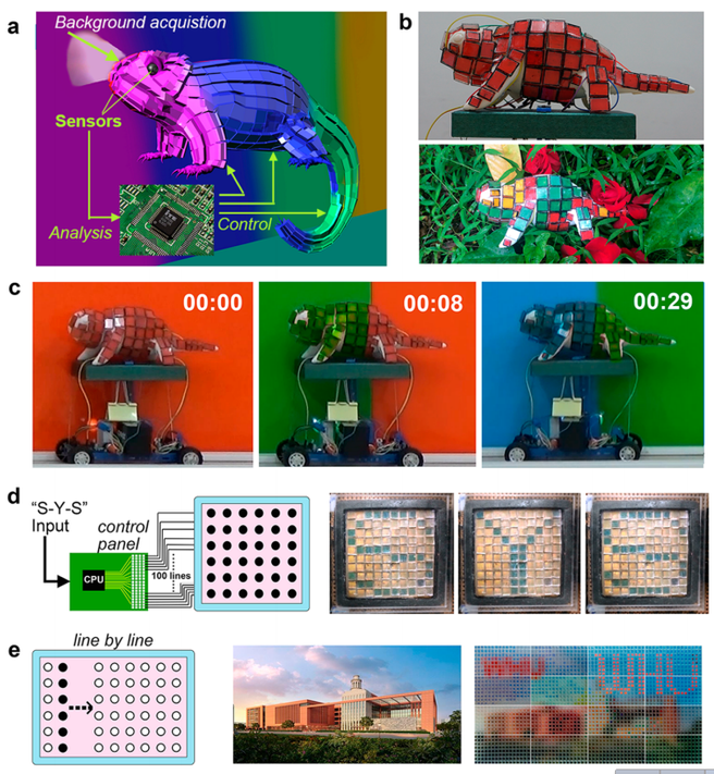 plasmonische kameleon