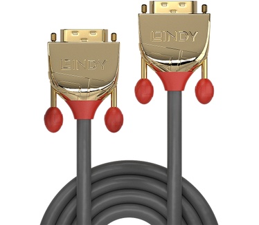 Lindy 36217 Goud, Grijs