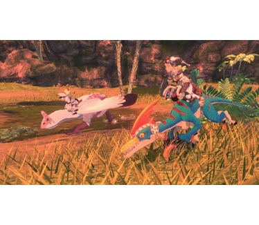Monster Hunter Stories 2, Switch