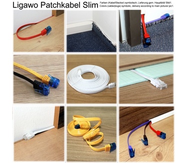 Ligawo 1m Cat5e U/UTP