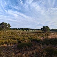 Afbeeldingslocatie: https://tweakers.net/i/hpJ4rnqOWxb0PjBYwxMRVcZfrvU=/232x232/filters:strip_icc():strip_exif()/f/image/cQWVtl5m2jM2riGhdTV9vZhz.jpg?f=fotoalbum_tile