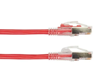 Black Box C6APC80S-RD-03