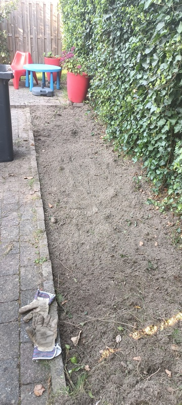 Afbeeldingslocatie: https://tweakers.net/i/htLXNJSnKvcN0pnoIMvqn7VMz18=/x800/filters:strip_icc():strip_exif()/f/image/AcSCimba5AUcubYDq9qS7CR3.jpg?f=fotoalbum_large