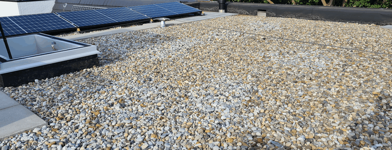 Afbeeldingslocatie: https://tweakers.net/i/htlJfxeaKh54kIJhUcL_fT9rDwk=/800x/filters:strip_exif()/f/image/p5AWN7MoepDJIVEVSDFao0t4.png?f=fotoalbum_large