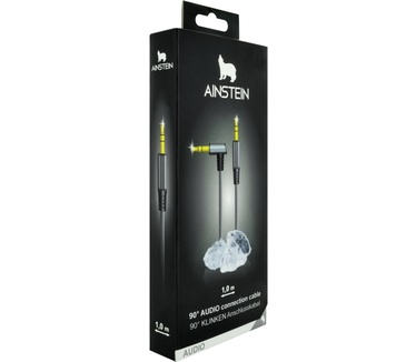 Schwaiger AIAU2010 413