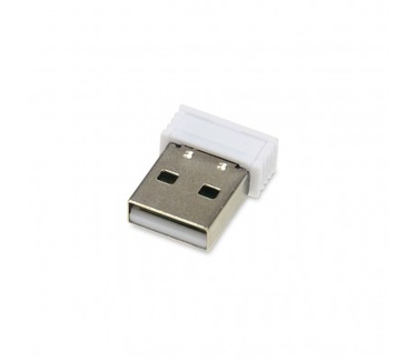 iBox LORIINI