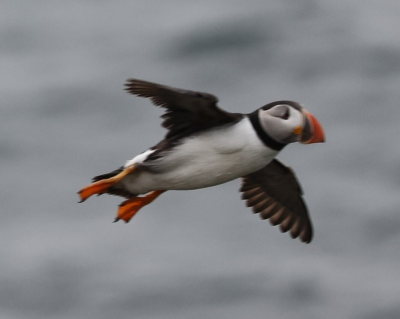 Afbeeldingslocatie: https://tweakers.net/i/i00lhqTGzz6sOqXyldB04oBxrPI=/800x/filters:strip_icc():strip_exif()/f/image/kbWo1KdhPpq9EV2RPkyZ2SJw.jpg?f=fotoalbum_large