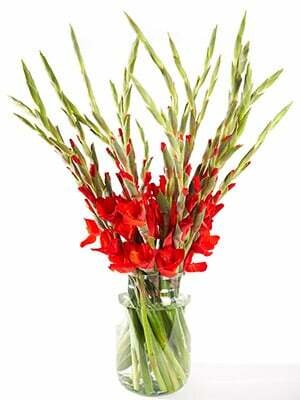 Afbeeldingslocatie: https://tweakers.net/i/i0HbKU-0K8chGkzfLiw_wpqPGH4=/full-fit-in/4920x3264/filters:max_bytes(3145728):no_upscale():strip_icc():fill(white):strip_exif()/f/image/2I6OOKLlpjD4qPKnwKsmGkL8.jpg?f=user_large