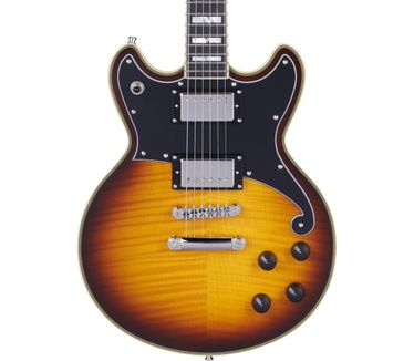 D'Angelico Guitars DELUXE BRIGHTON
