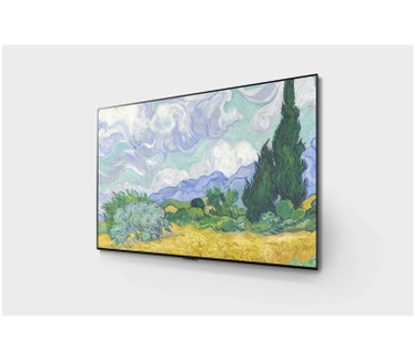 LG OLED55G16LA