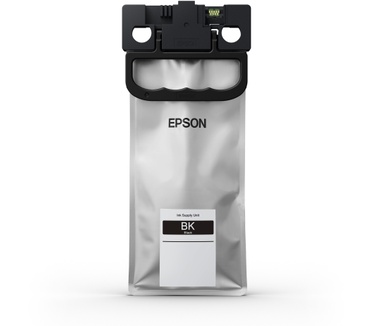 Epson T01C100