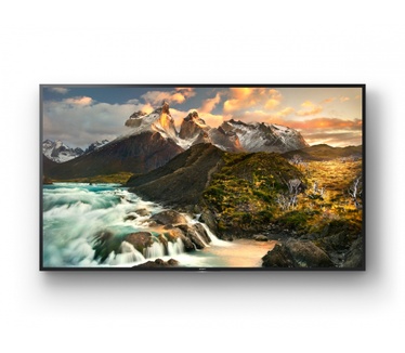 Sony FWD-100ZD9501