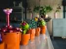 Nabewerkte rawfoto's in weinig licht