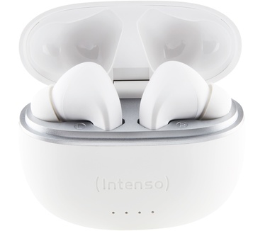Intenso T302A (Wit)