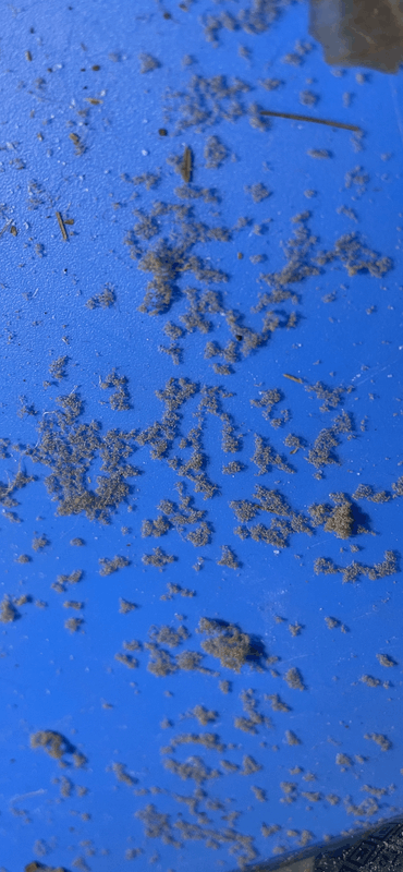 Afbeeldingslocatie: https://tweakers.net/i/i9tpMKX2lDV5K_R1ZpvJp5Bwswg=/x800/filters:strip_exif()/f/image/No2NfWN43ShLUVHmNiQcm6dg.png?f=fotoalbum_large