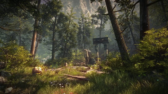 The Witcher 2: Assassins of Kings 2 Enhanced Edition