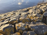 OnePlus 15 cameratest - 2x zoom