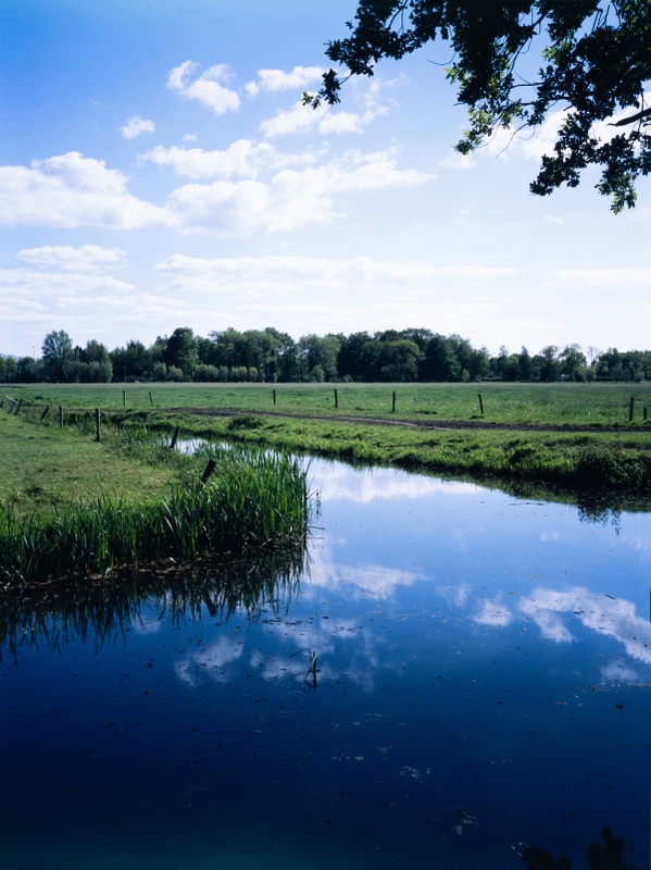 Afbeeldingslocatie: https://tweakers.net/i/iEHfqkPR1ddNU1i2jVuxHfcGWvE=/x800/filters:strip_icc():strip_exif()/f/image/Mfx45TjkYskfFXPBEJ5vuSkm.jpg?f=fotoalbum_large