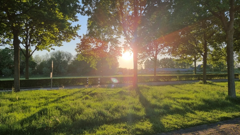 Afbeeldingslocatie: https://tweakers.net/i/iF2RzAW-FWpXqJvqmFzOBFVKexY=/800x/filters:strip_icc():strip_exif()/f/image/pMKmEfMSlYpWeKKf1jIOwMjQ.jpg?f=fotoalbum_large