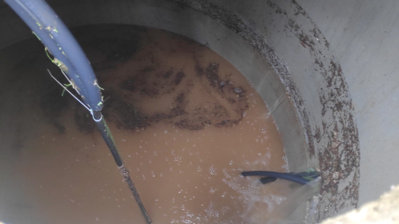 Afbeeldingslocatie: https://tweakers.net/i/iHPIVwlUy0Hqazyr3AnYivBiMeo=/800x/filters:strip_icc():strip_exif()/f/image/zUfMW4bSvNoh67U5sojry15h.jpg?f=fotoalbum_large