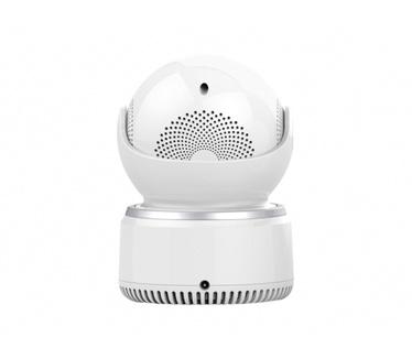 Conceptronic Daray