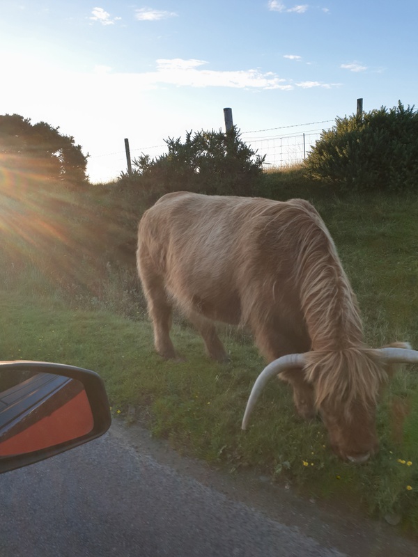 Afbeeldingslocatie: https://tweakers.net/i/iLKGMJ9fNm7txTwZTSl_jexSX9k=/x800/filters:strip_icc():strip_exif()/f/image/4FmGlXcXzMrICz76rkzAKNA6.jpg?f=fotoalbum_large