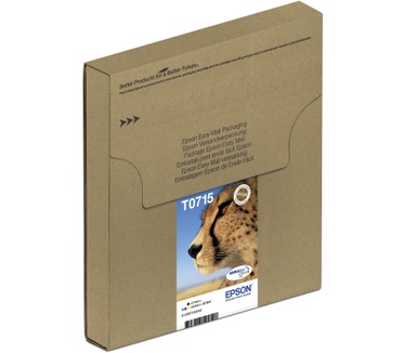 Epson T071 EasyMail multipack