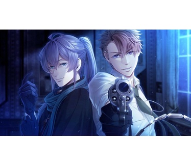 Code: Realize Guardian of Rebirth, Switch